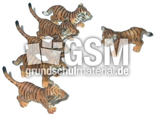 Tiger-5+1.jpg